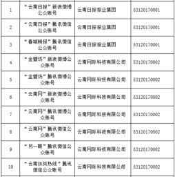 云南信息報旗下六產(chǎn)品獲首批互聯(lián)網(wǎng)新聞信息服務(wù)許可，賦能區(qū)域信息服務(wù)新格局